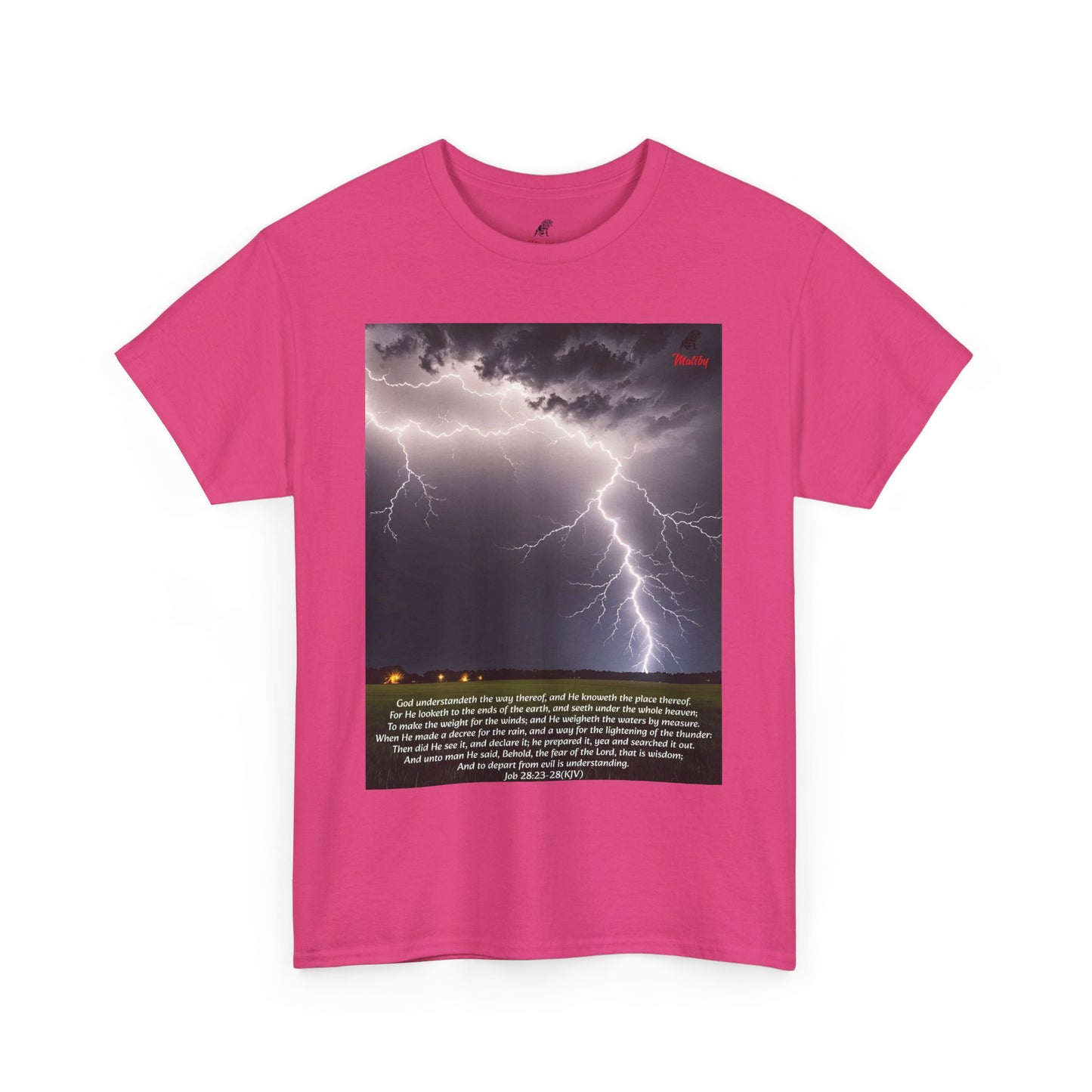 Lightning Style Fear of the Lord Unisex Heavy Cotton Tee