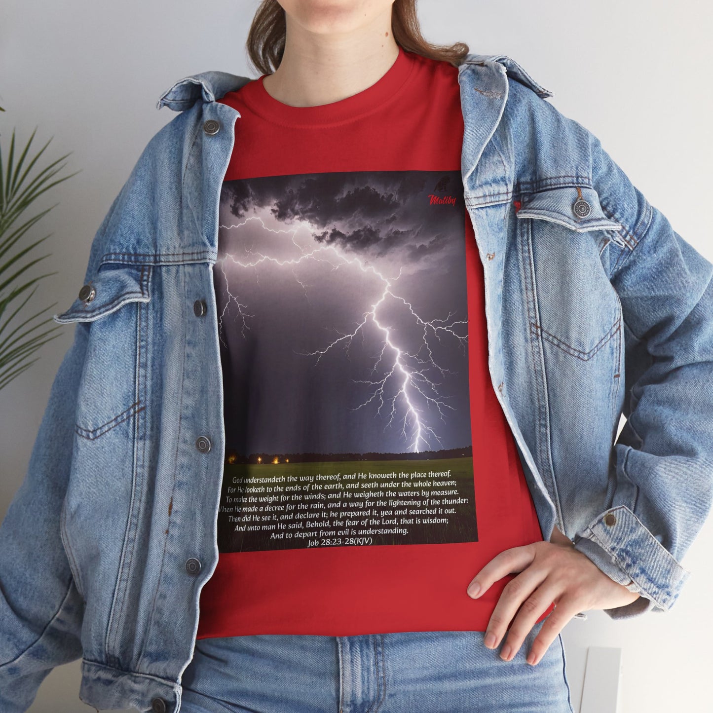 Lightning Style Fear of the Lord Unisex Heavy Cotton Tee