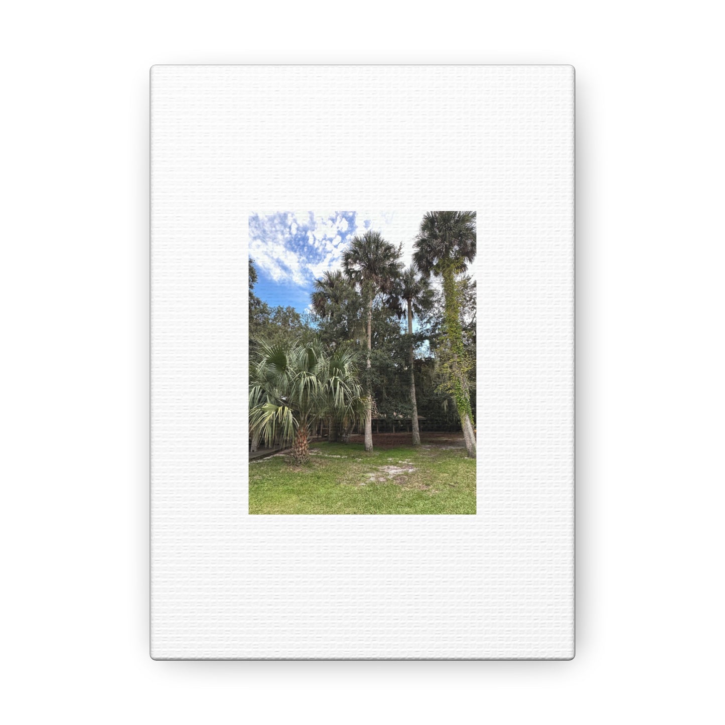 Matiby "Reals" Nature White Canvas Gallery Wraps