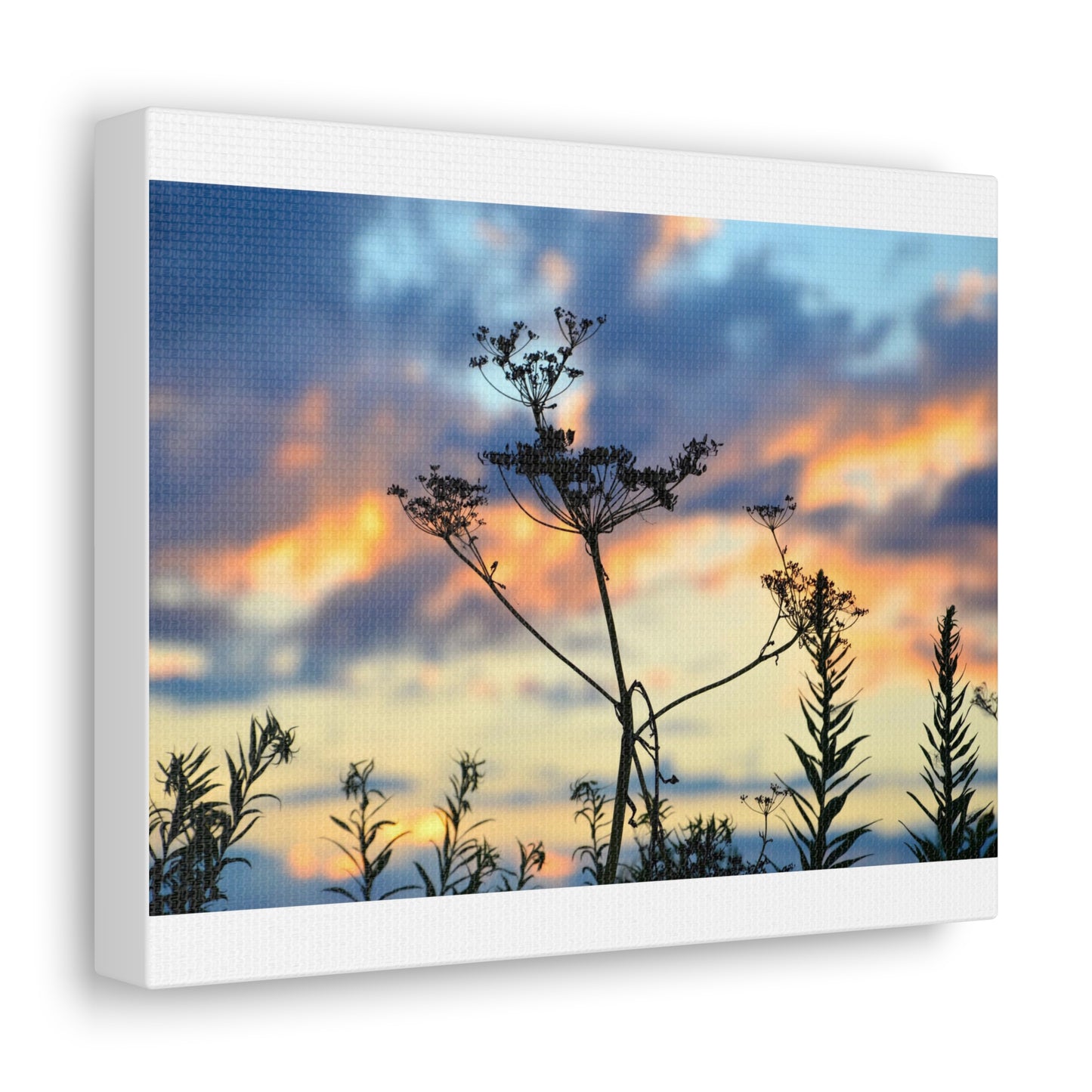 Nature Sunset Silhouette Canvas Gallery Wraps