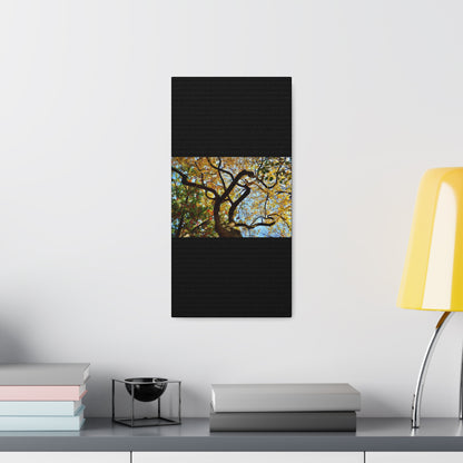 Fall Leaves Black Canvas Gallery Wraps