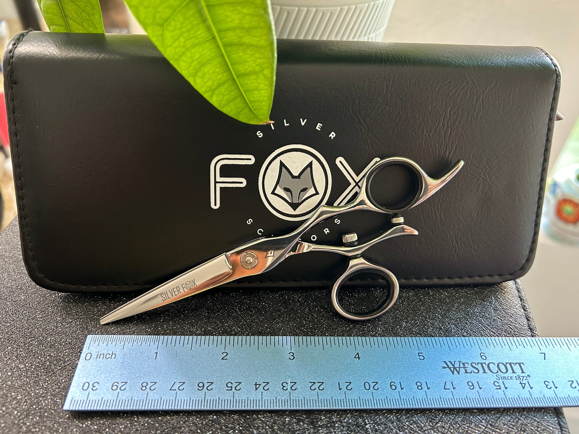 Scissors resting against black case with ruler for scale.