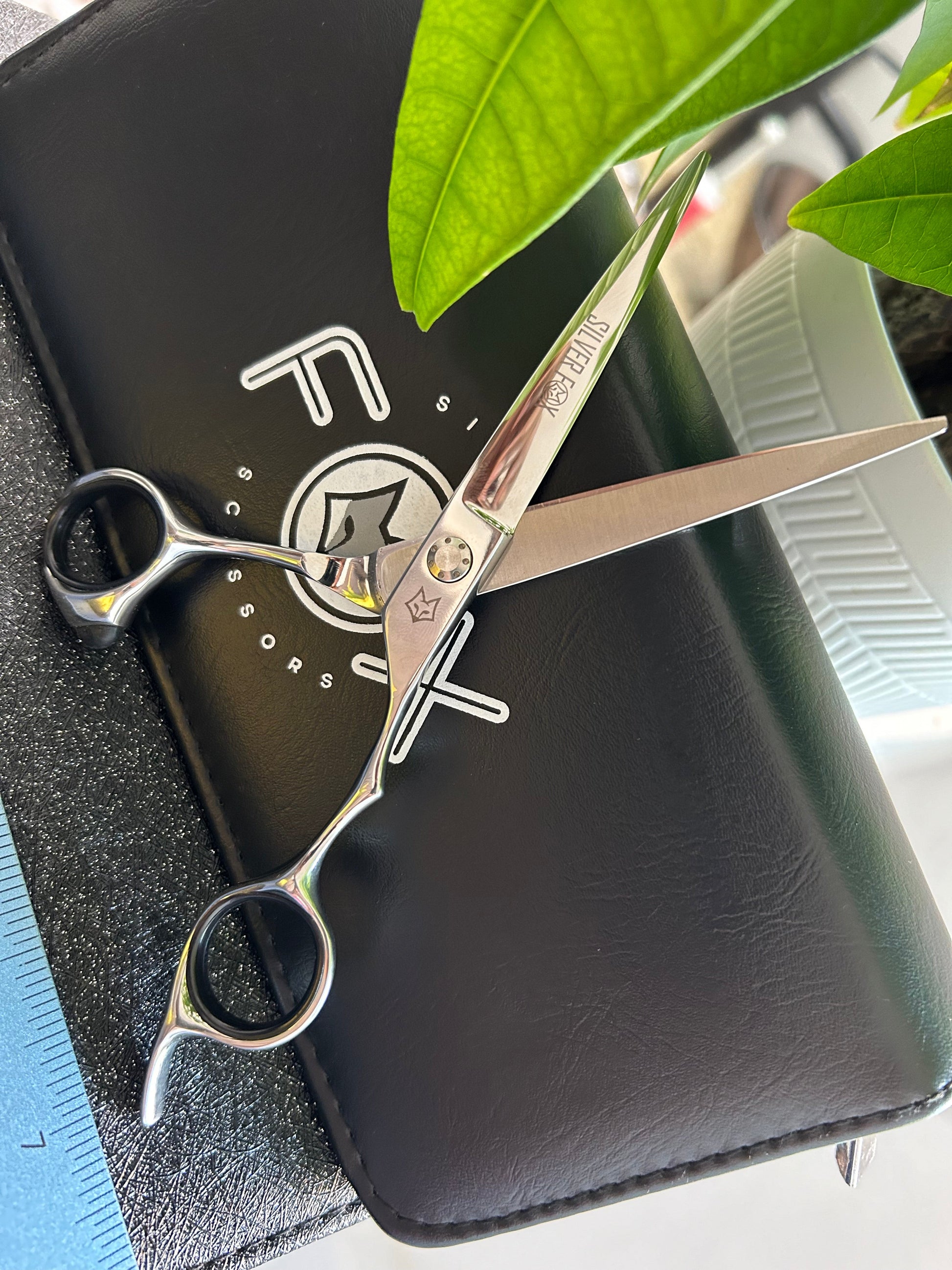 Scissors standing upright against black case.