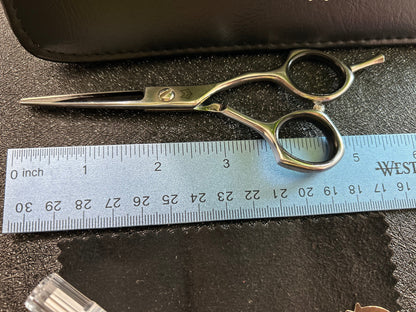 Top view of scissors next to ruler for scale.