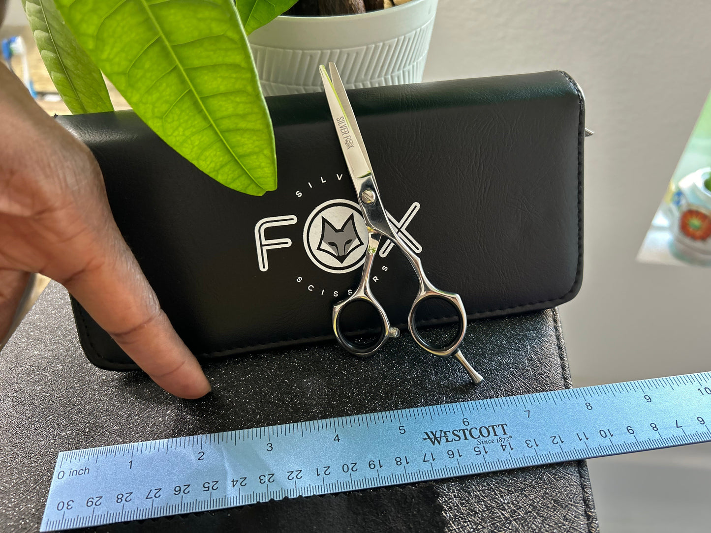 Scissors standing upright against black case with ruler in front for scale.