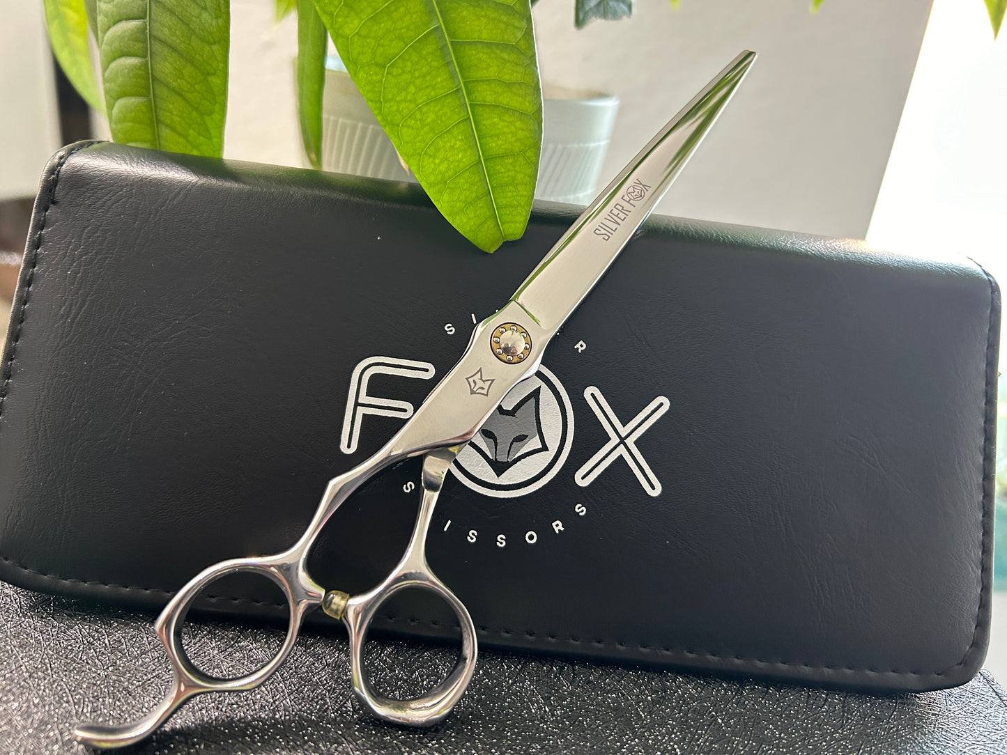 Scissors standing upright against black case.