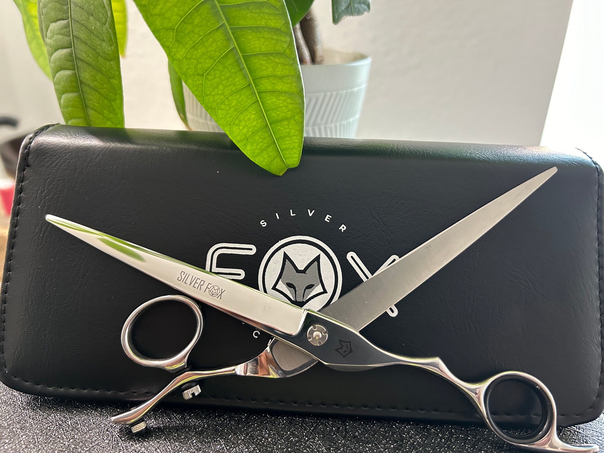 Scissors fully extended, standing upright against black case.