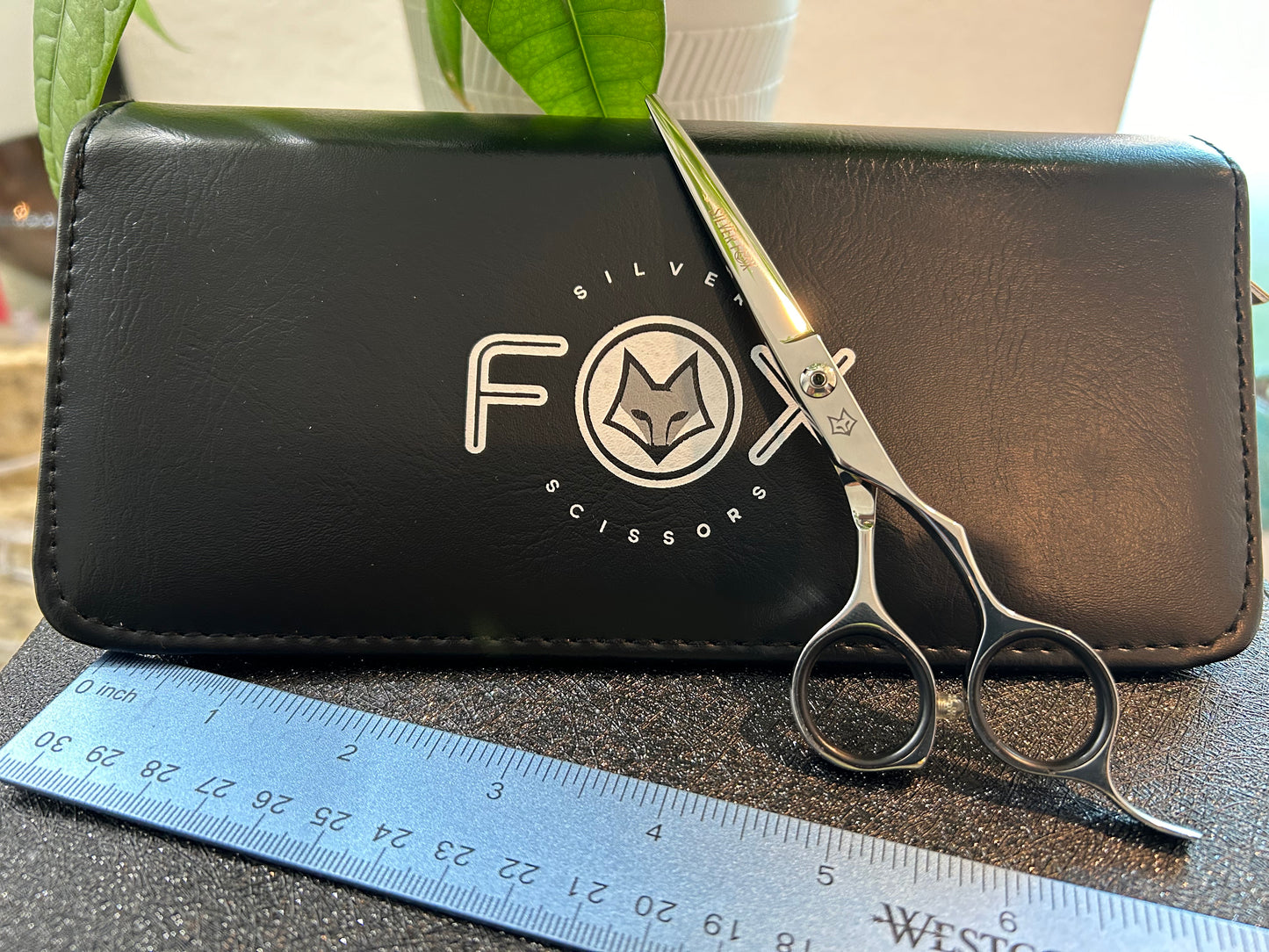 Scissors standing upright against black case with object in front for scale.