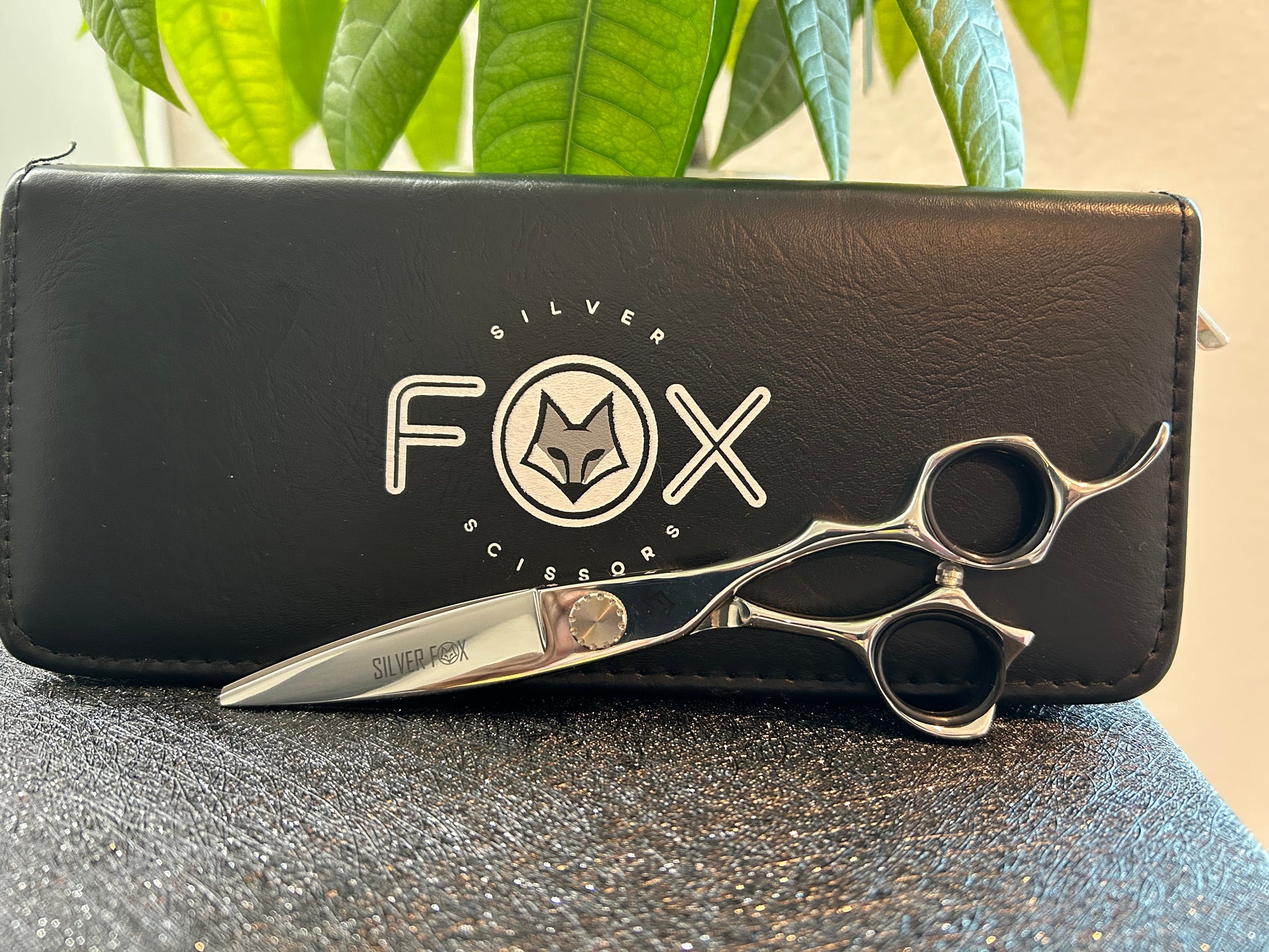 Scissors resting against black case.