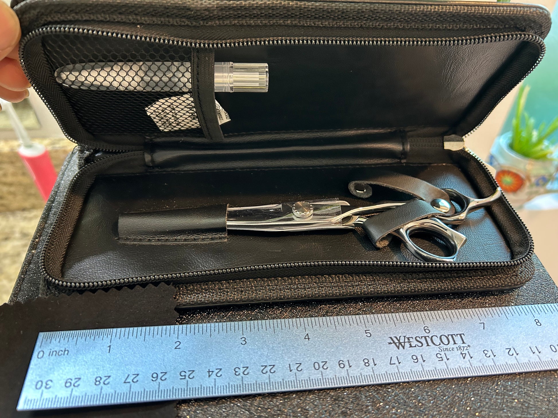 Scissors inside case next to ruler for scale.