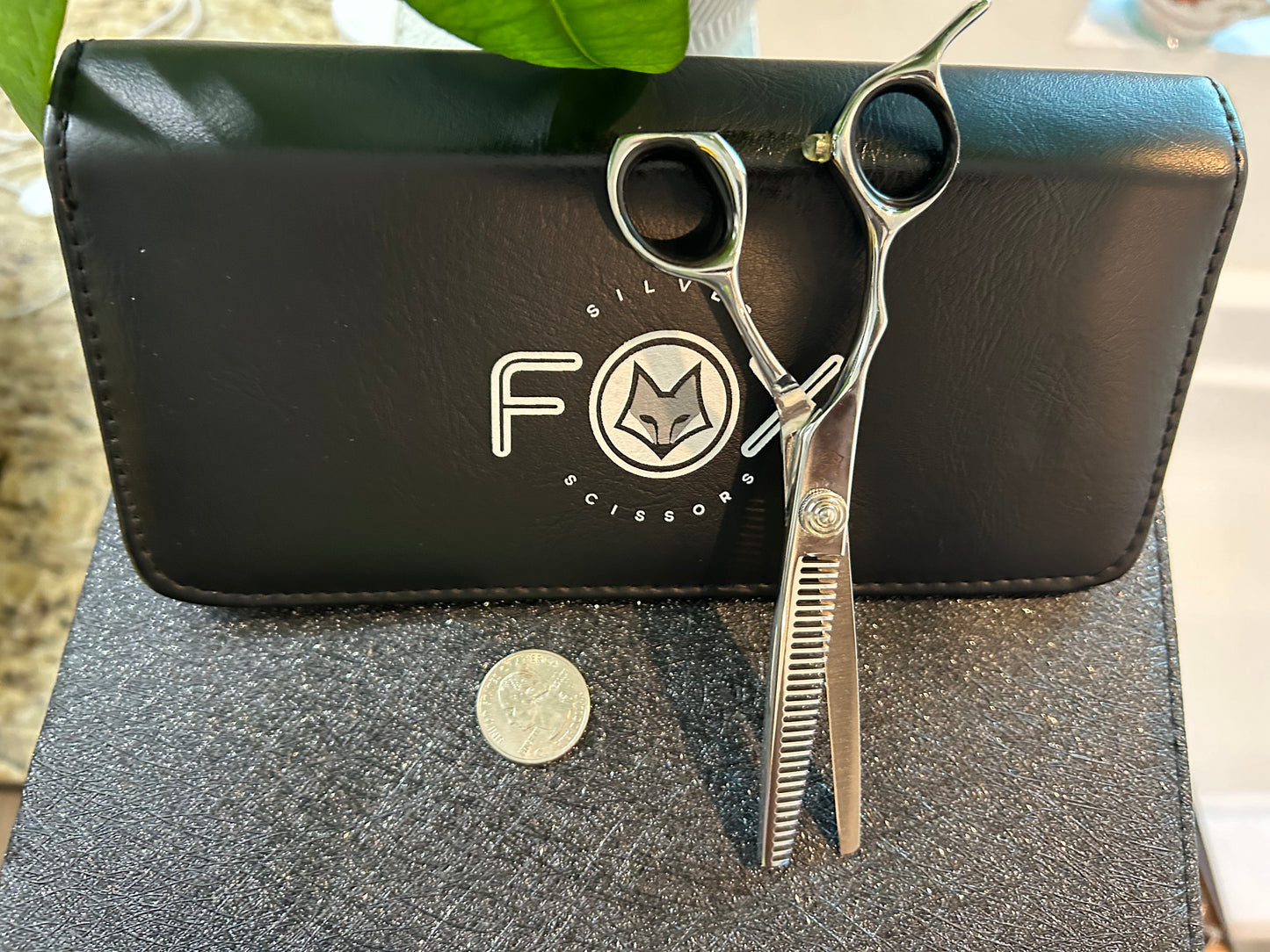 Scissors standing upright against black case with object in front for scale.