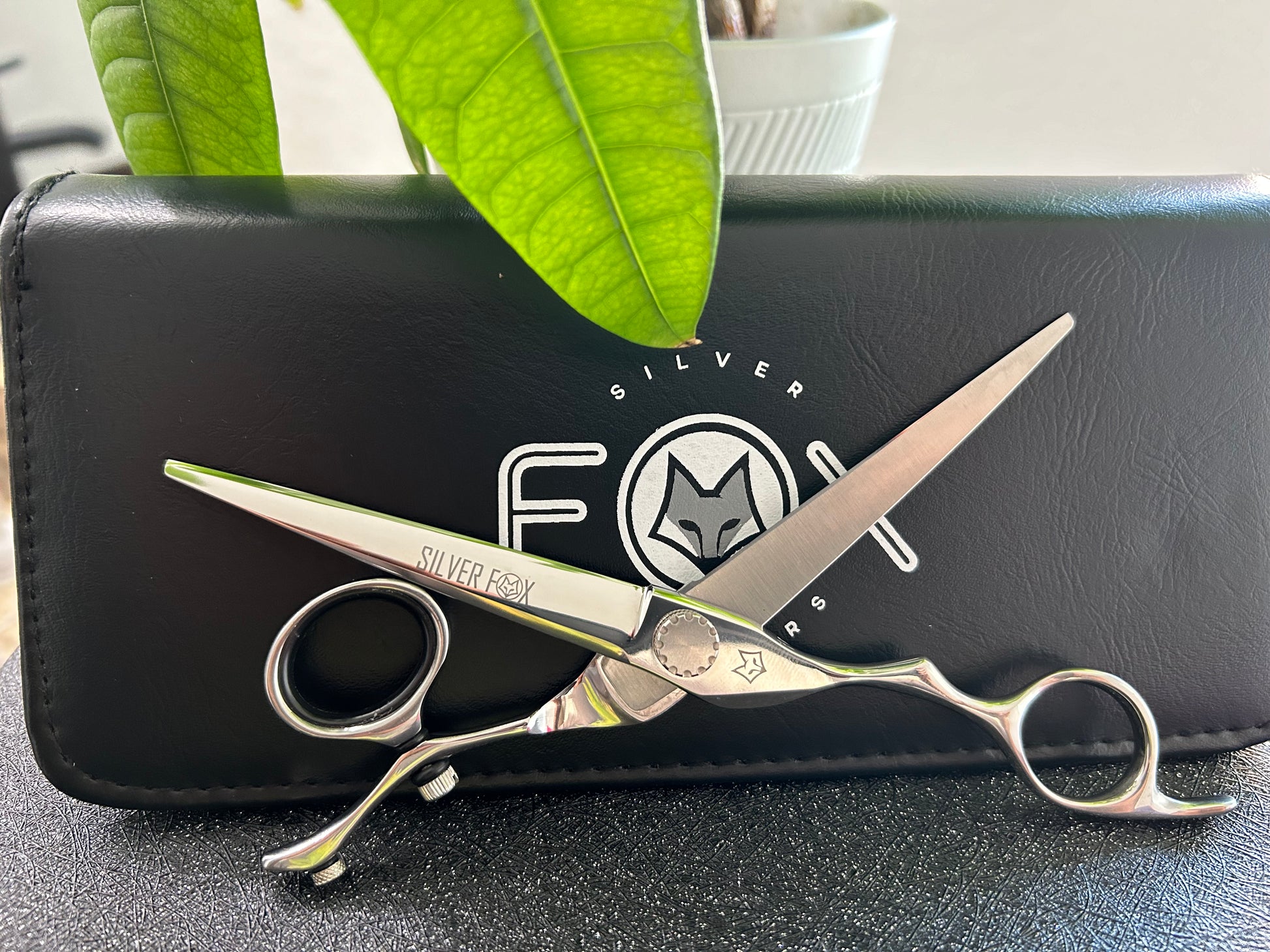 Scissors fully extended resting against black case.