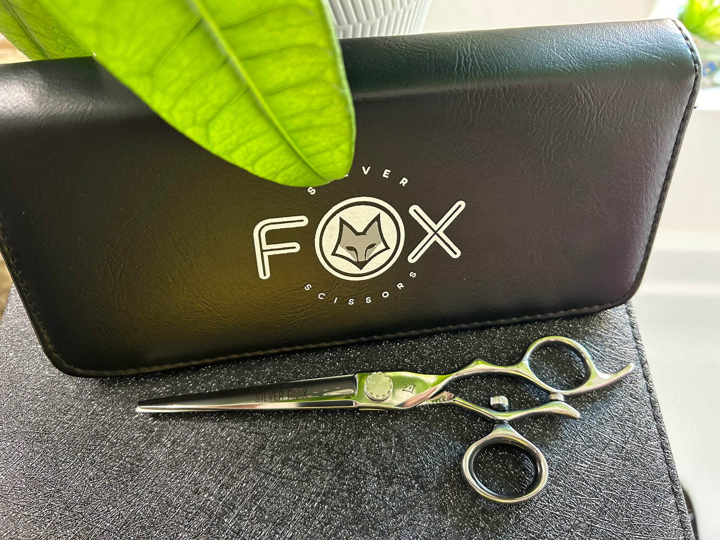 Top view of scissors with black case.