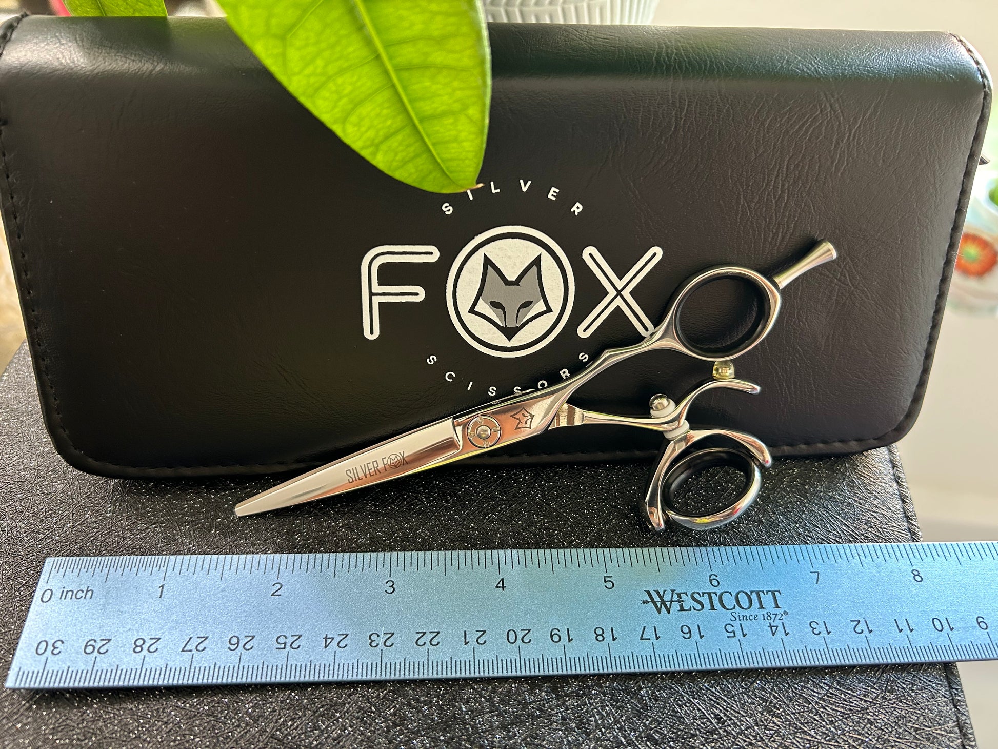 Scissors resting against black case with ruler for scale.