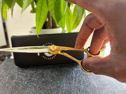 Scissors held with fingers threaded through rings.